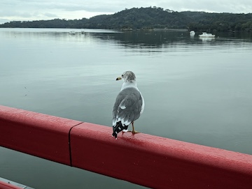 福浦橋（途中）