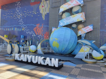 海遊館ミュージアム yamazo on X: 