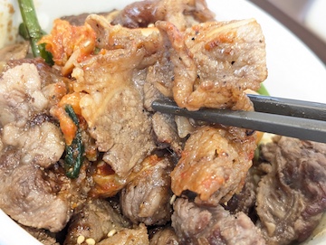 カルビと特選ブリスケット肉の合い盛り丼（感想）