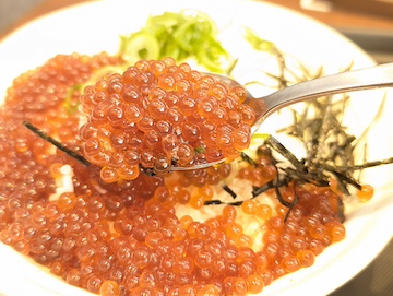 いくら丼 松屋から「たっぷりいくら丼」「鮭いくら丼」が新登場！店舗限定