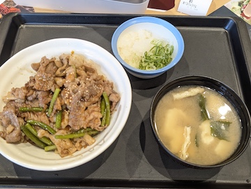 カルビホルモン丼(全体)