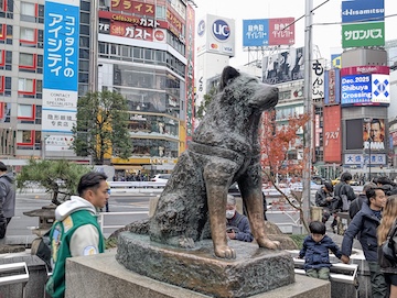 ハチ公改札（）