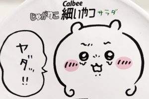 カルビー じゃがりこ細いやつ×ちいかわ