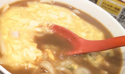 CoCo壱番屋 豚玉あんかけカレーうどん